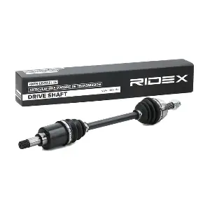 RIDEX 13D0024