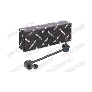 RIDEX 3229S0576