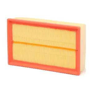 RIDEX 8A0233
