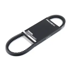 10C0026 RIDEX