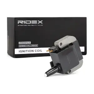689C0117 RIDEX