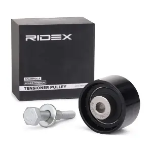 RIDEX 313D0009