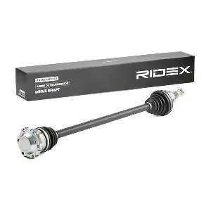 13D0487 RIDEX