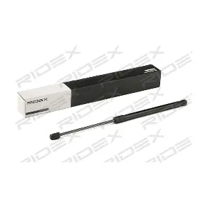219G0937 RIDEX