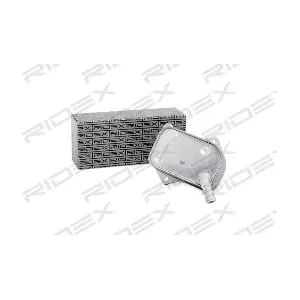 469O0042 RIDEX