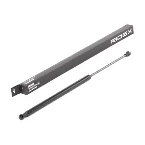 219G0729 RIDEX