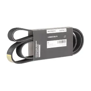 305P0072 RIDEX