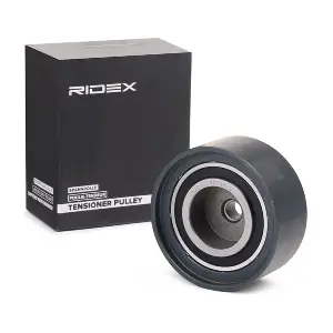 RIDEX 313D0053