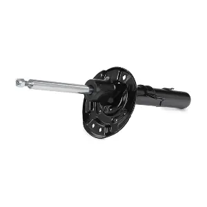 854S2409 RIDEX