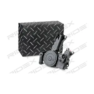 RIDEX 3886V0047