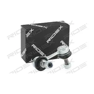 3229S0653 RIDEX