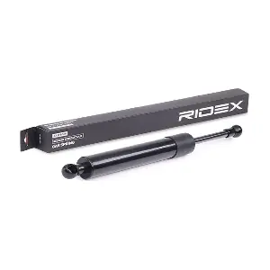 RIDEX 219G0125