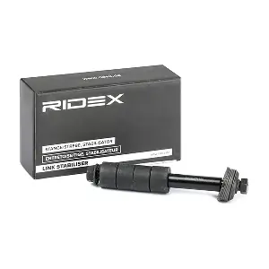 3229S0254 RIDEX