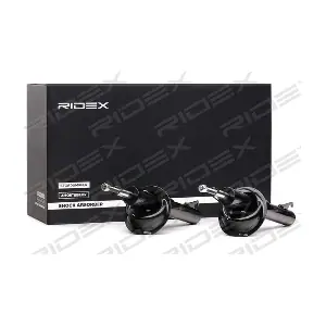 RIDEX 854S18098