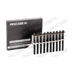 1217B0015 RIDEX