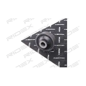 RIDEX 251T0052