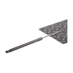 219G0046 RIDEX