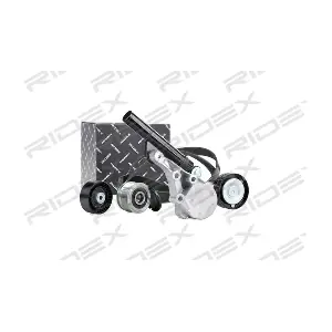 542R0054 RIDEX