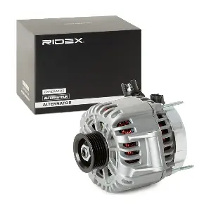 RIDEX 4G1049