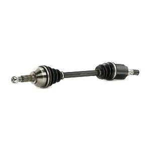 13D0484 RIDEX