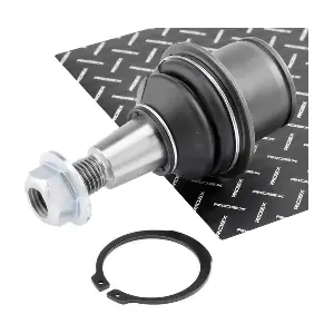RIDEX 2462S0279