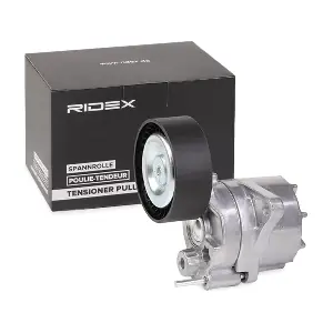 RIDEX 541V0031