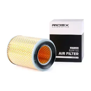 RIDEX 8A0378
