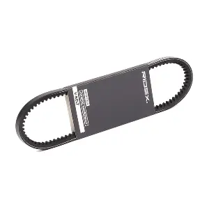 10C0068 RIDEX