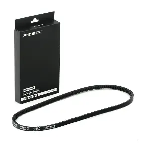 RIDEX 10C0047