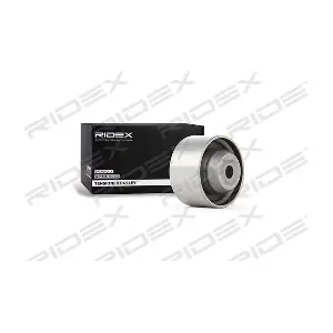 RIDEX 313D0022