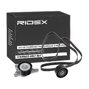 542R0504 RIDEX