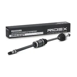 RIDEX 13D0431