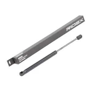 219G0855 RIDEX