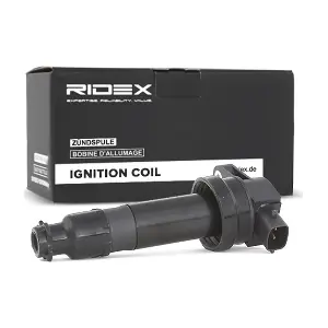 RIDEX 689C0161