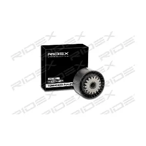 RIDEX 541V0025