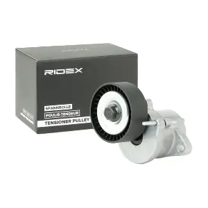 310T0107 RIDEX