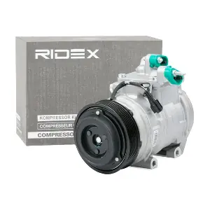 447K0171 RIDEX
