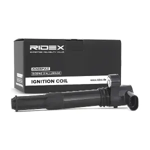 RIDEX 689C0009