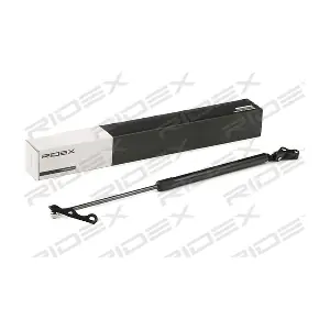 219G0606 RIDEX