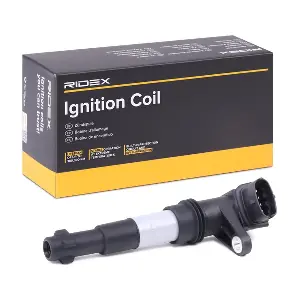 689C0234 RIDEX