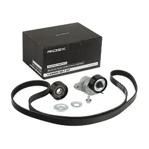 542R0197 RIDEX