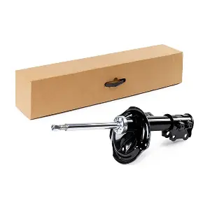 854S1022 RIDEX