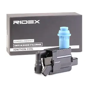 689C0347 RIDEX