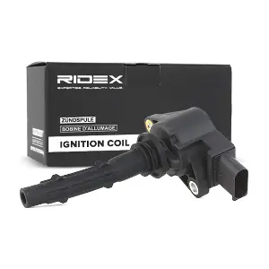 689C0048 RIDEX
