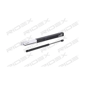 2454G0017 RIDEX