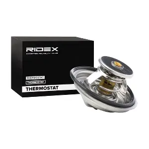 RIDEX 316T0012