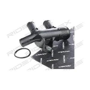 3219C0060 RIDEX