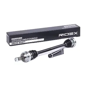 13D0205 RIDEX
