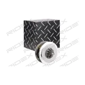 RIDEX 4973C0074