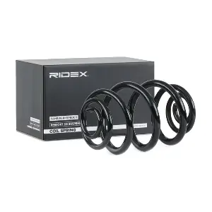 188C0509 RIDEX